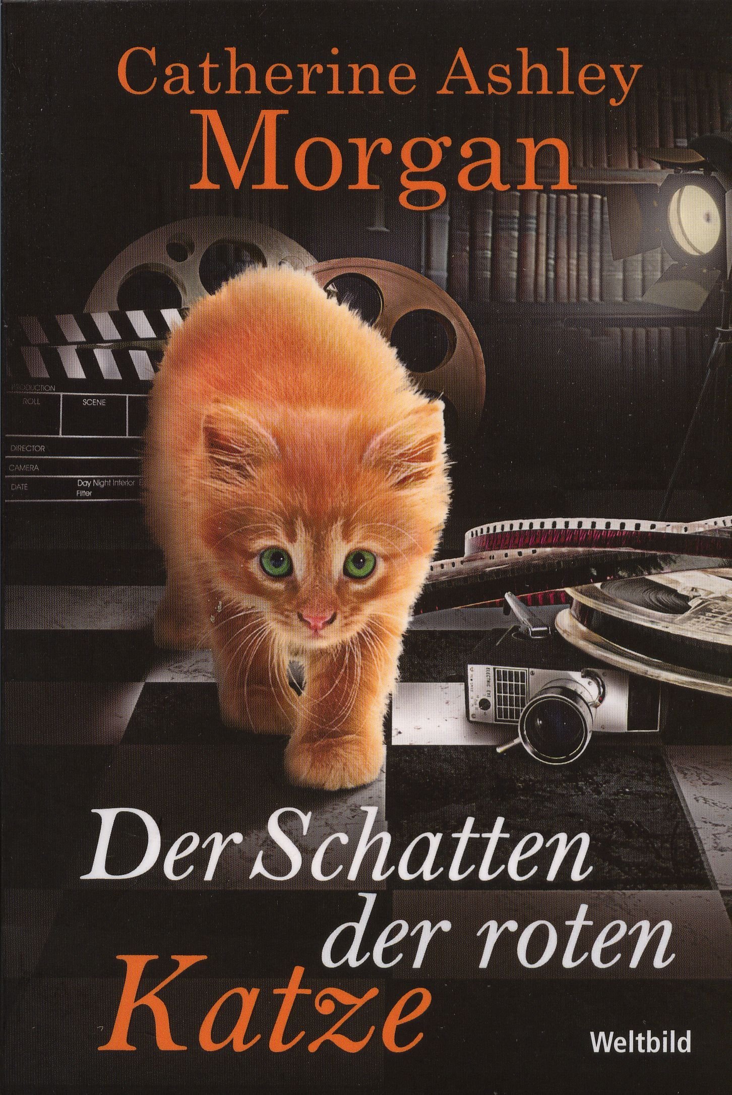 Der Schatten der roten Katze