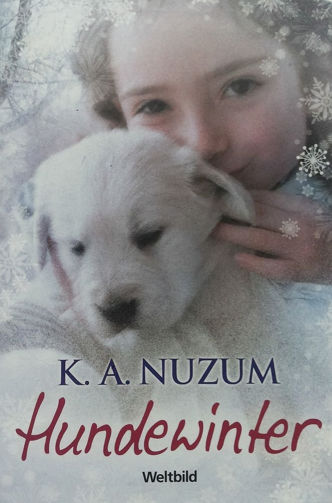 Hundewitter