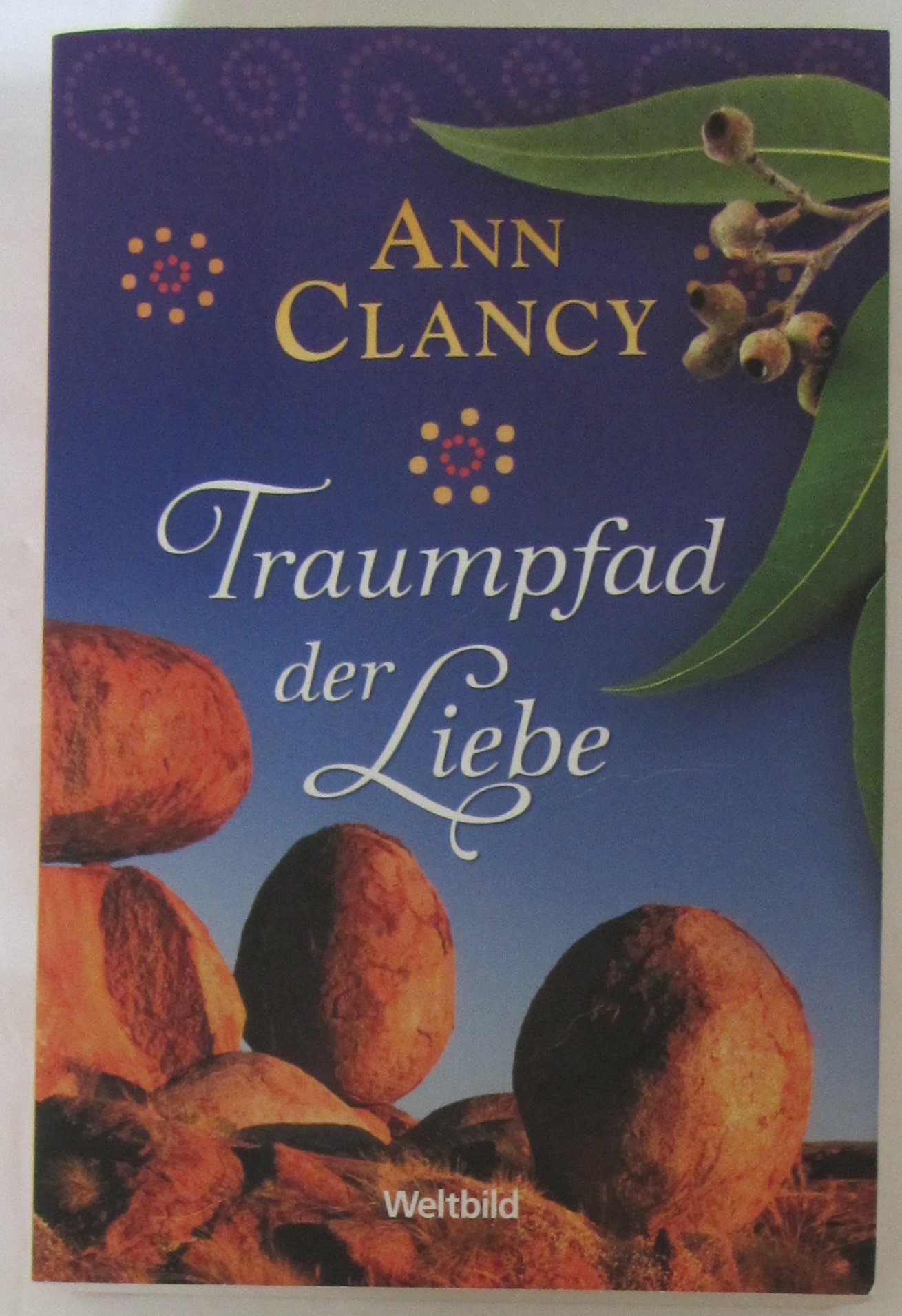 Traumpfad der Liebe, Roman