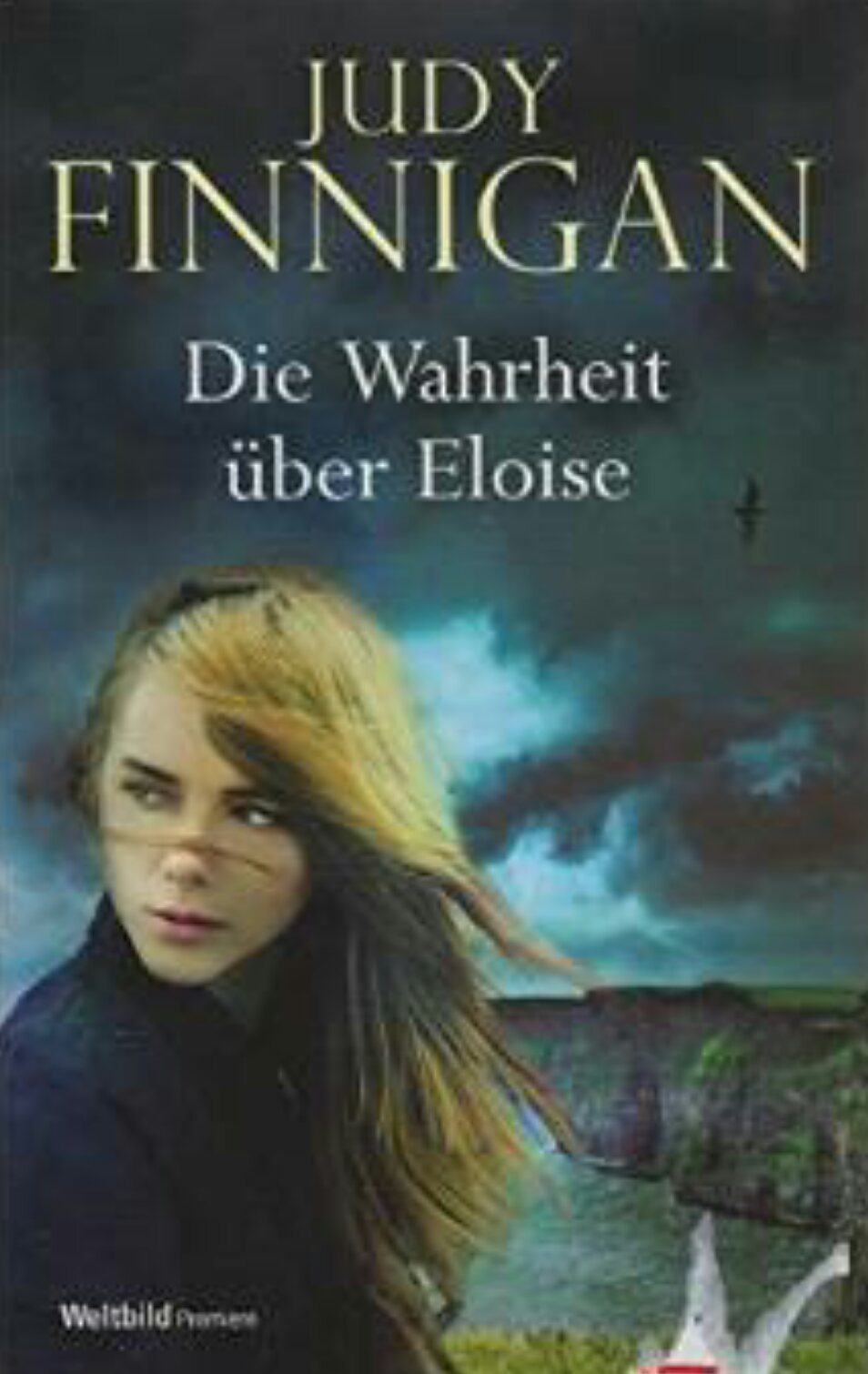 Die Wahrheit über Eloise. Roman