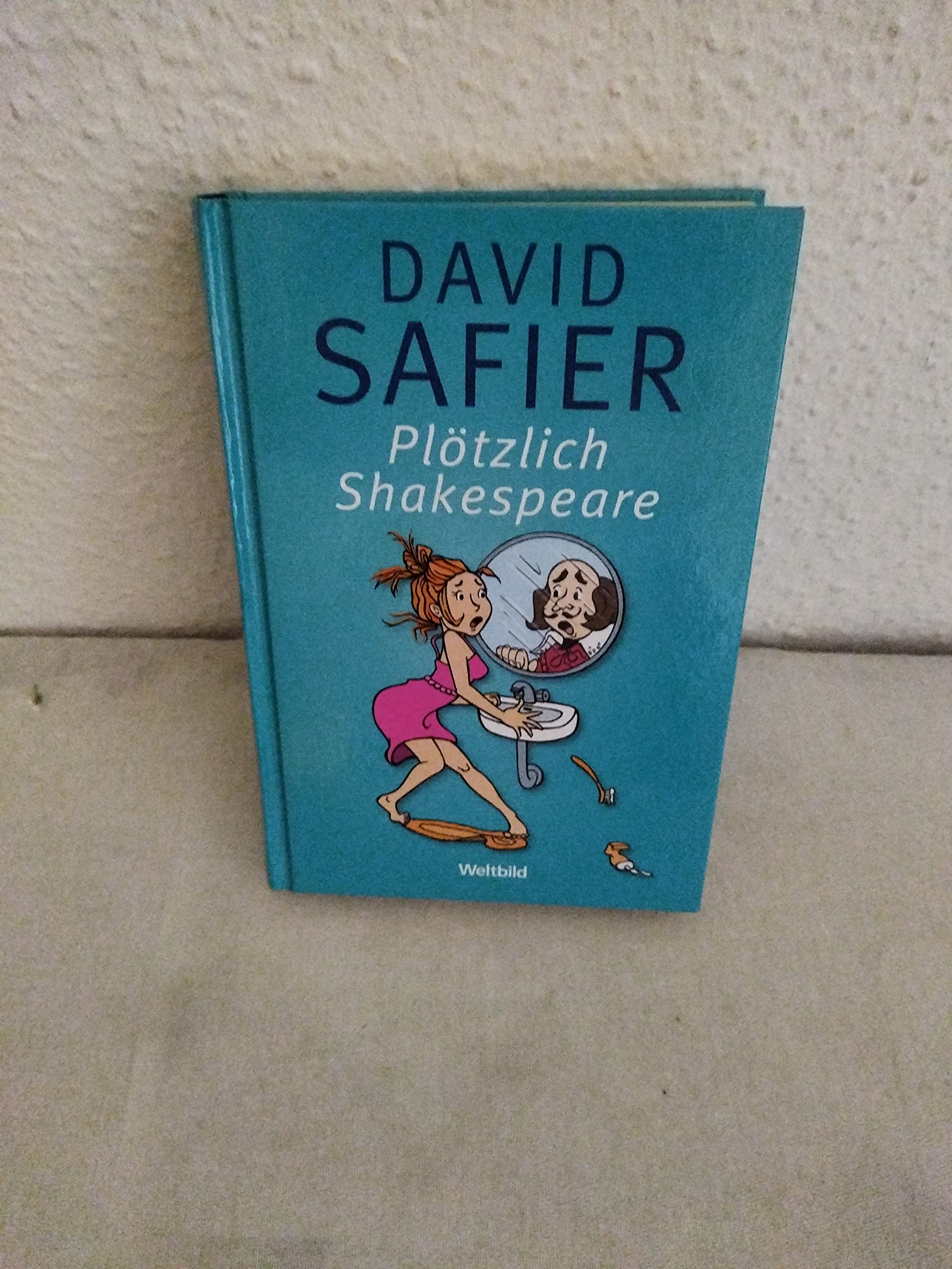 Plötzlich Shakespeare : Roman.