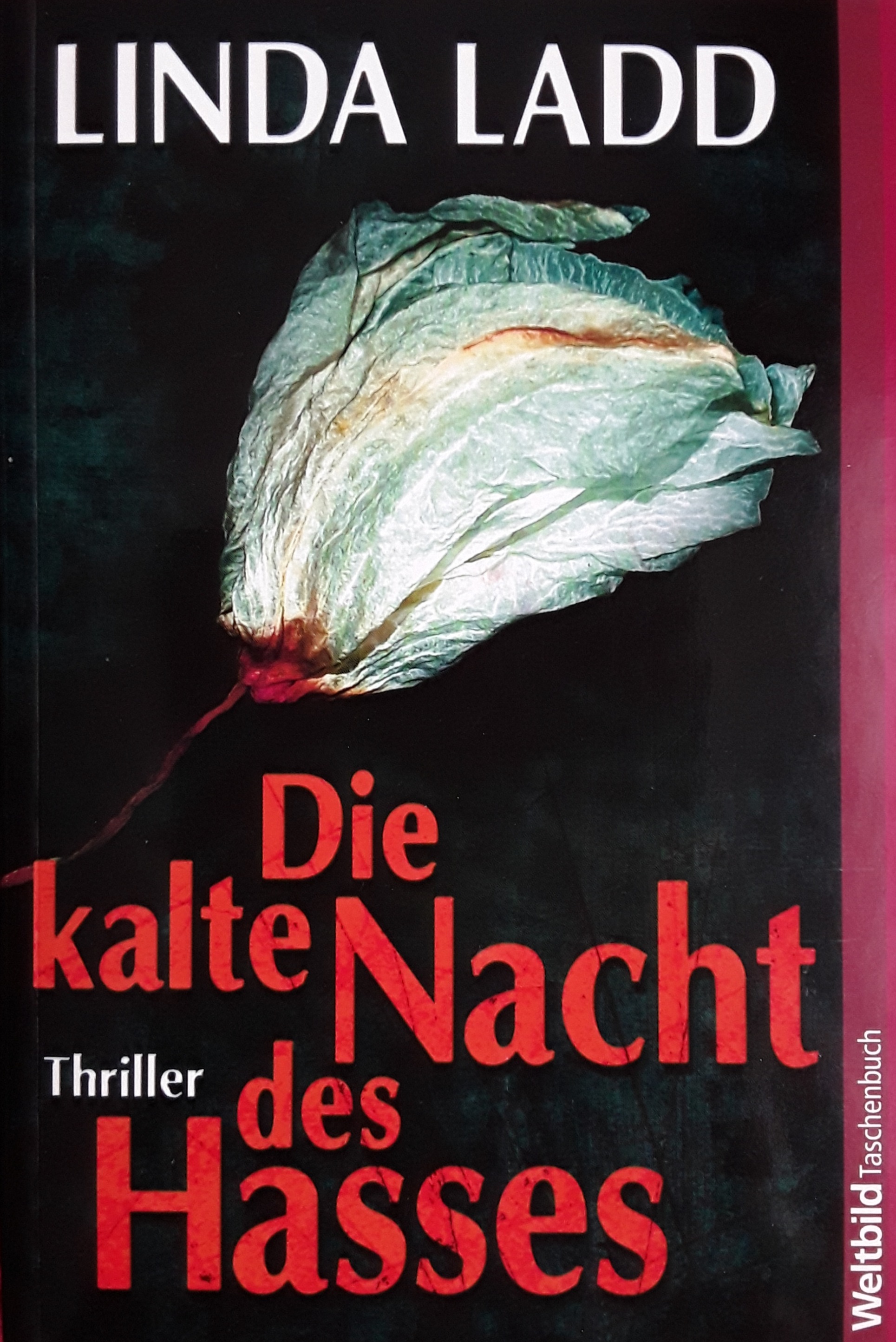 Die kalte Nacht des Hasses . Thriller