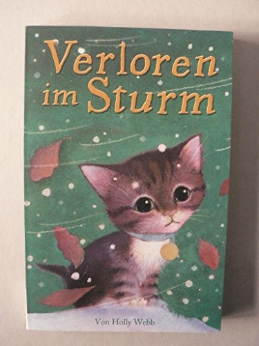 Verloren im Sturm