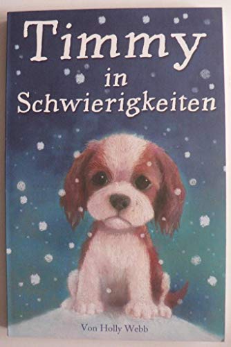 Timmy in Schwierigkeiten
