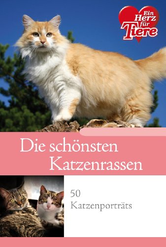 Ratgeber Tiere - Die schönsten Katzenrassen im Porträt