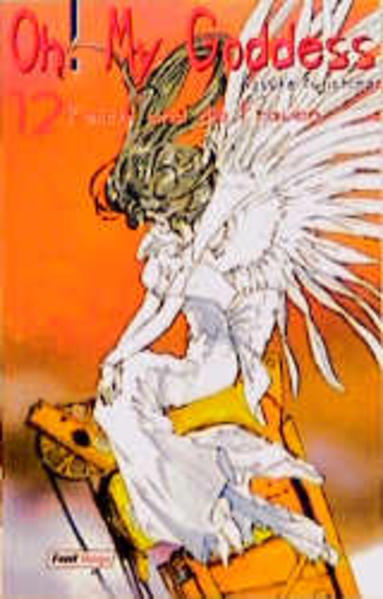 Oh! My Goddess 12. Keiichi und die Frauen