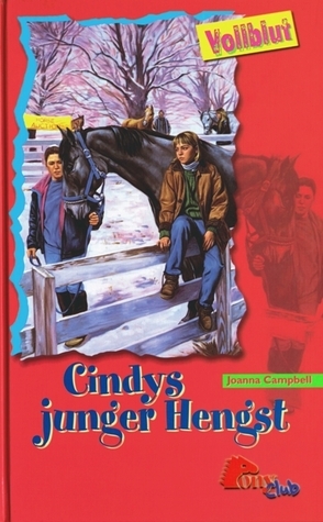 Cindys junger Hengst.