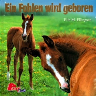Ein Fohlen wird geboren.