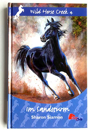 Wild Horse Creek 4 (Im Sandsturm)