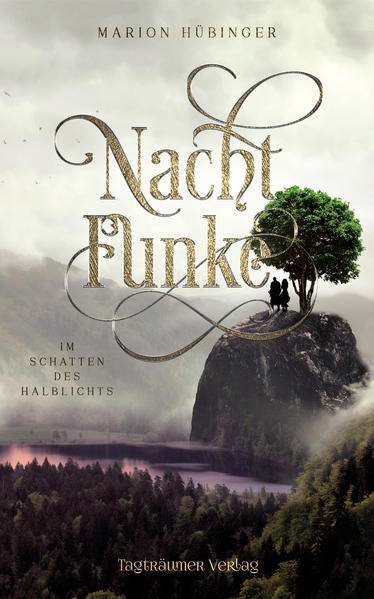 Nachtfunke 2: Im Schatten des Halblichts
