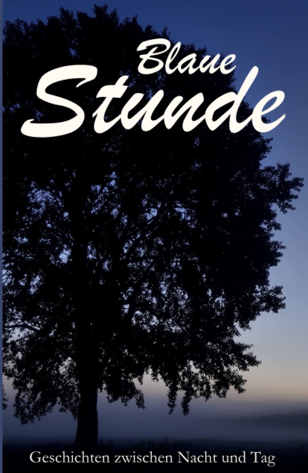 Blaue Stunde: Geschichten zwischen Nacht und Tag