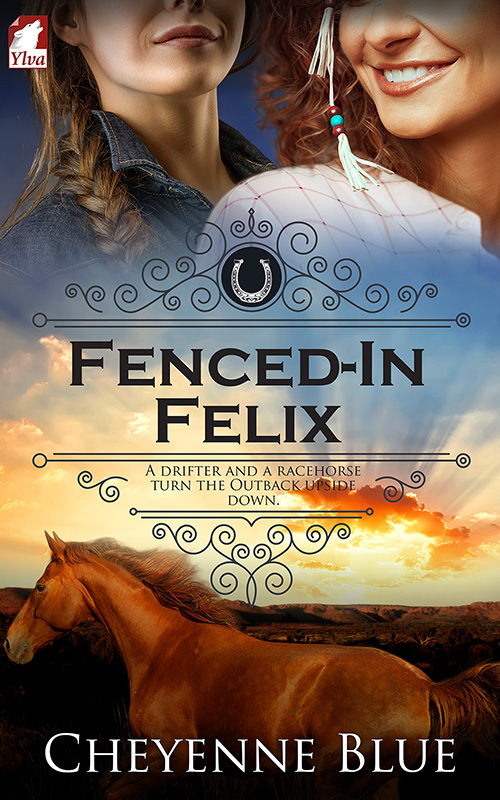 Fenced-In Felix (Girl Meets Girl, Band 3)