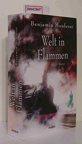 Welt in Flammen