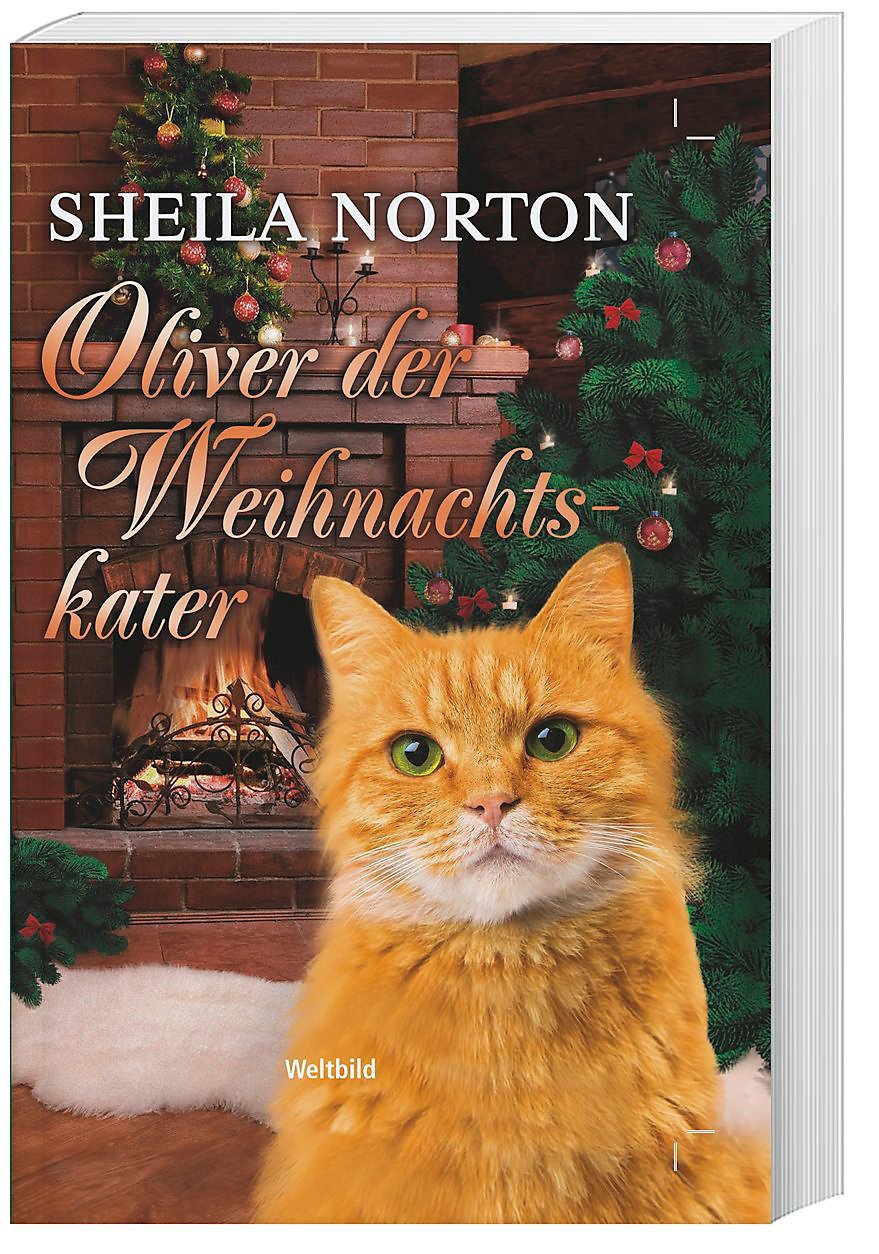 Oliver der Weihnachtskater