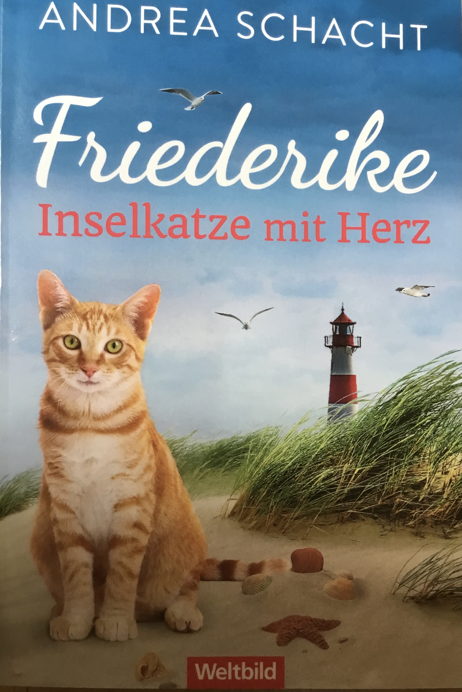 Friederike - Inselkatze mit Herz