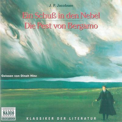 Ein Schuss in den Nebel - Die Pest von Bergamo