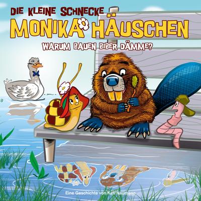 44: Warum bauen Biber Dämme?