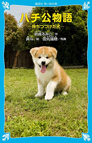 Hachiko's Story