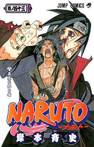 Naruto, Volume 43 (Naruto (Japanese))