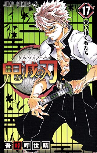 Demon Slayer: Kimetsu no Yaiba 17 - Japanische Ausgabe