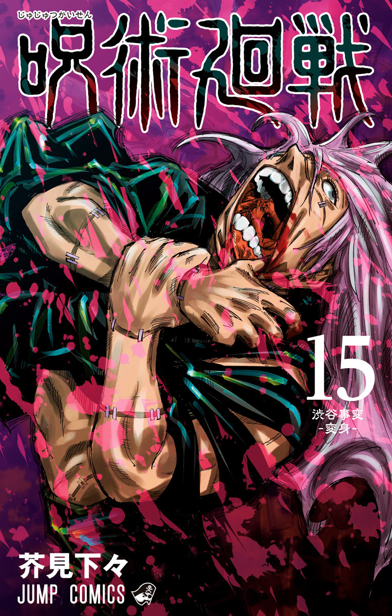 Jujutsu Kaisen 15