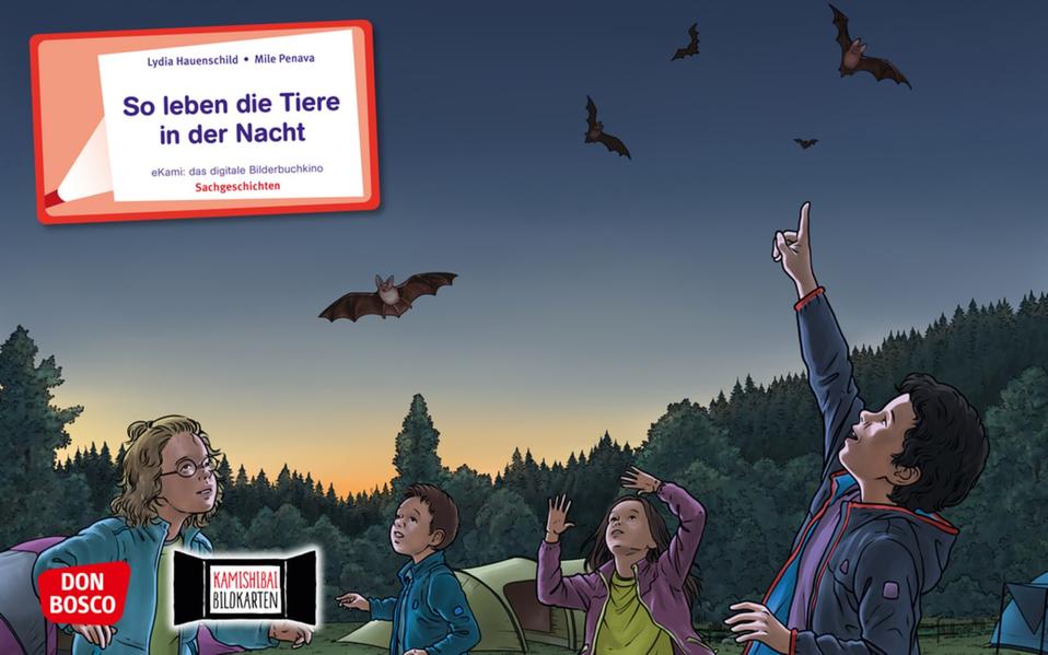 So leben die Tiere in der Nacht. eKami