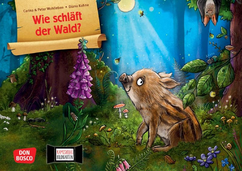 Wie schläft der Wald? Kamishibai Bildkartenset