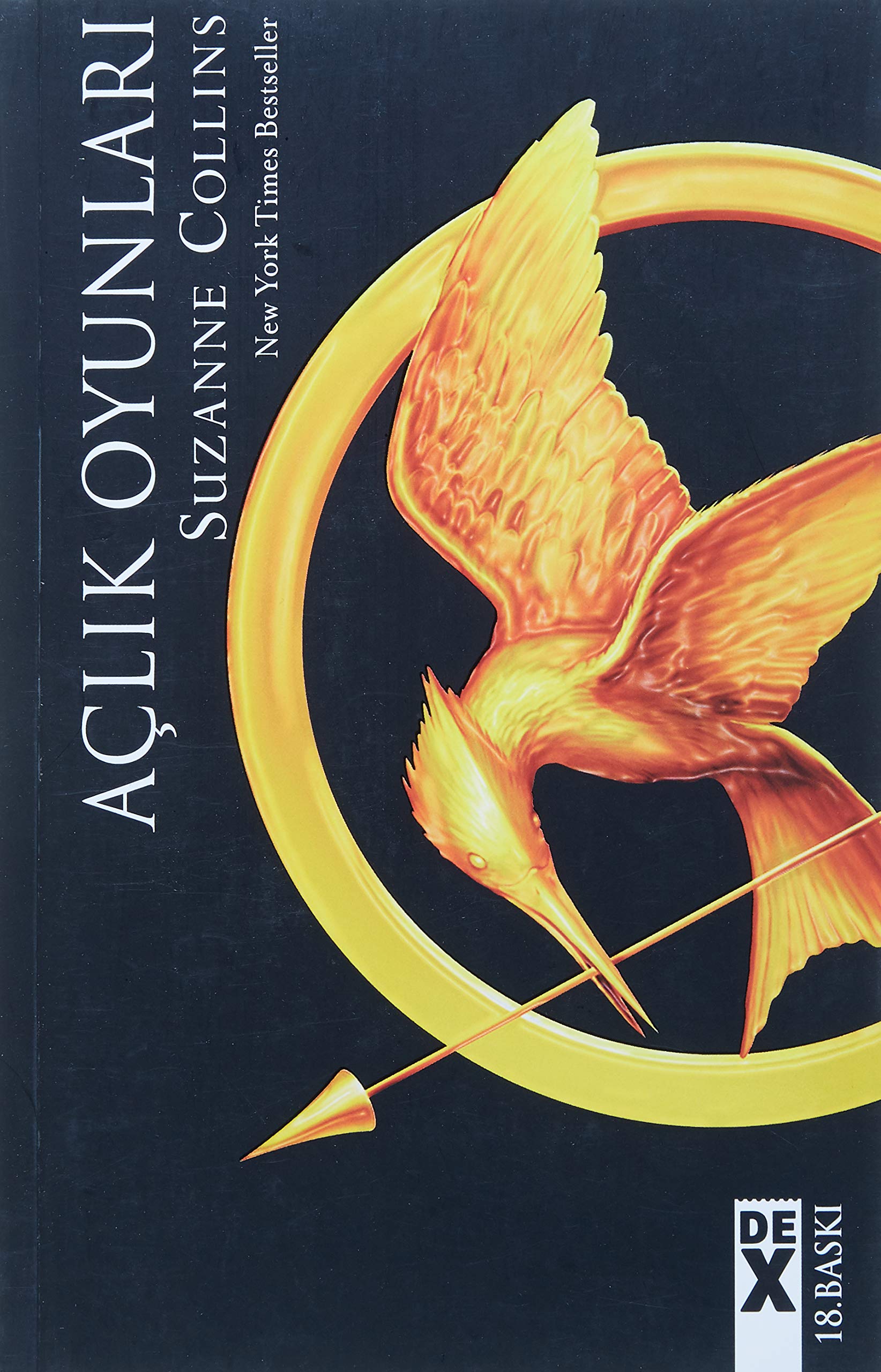 Aclik Oyunlari 1