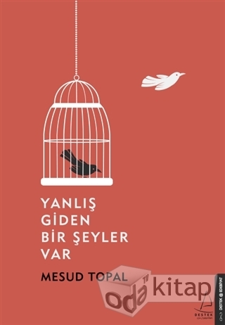Yanlış Giden Bir Şeyler Var
