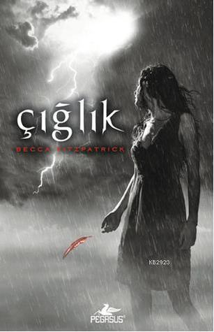 Ciglik: Hush Hush Serisi 2. Kitap