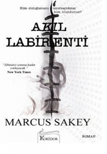 Akil Labirenti