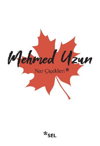 Nar Cicekleri: Cok Kültürlülük Üstüne Denemeler