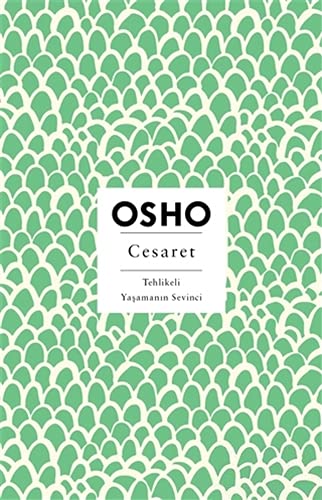 Cesaret: Tehlikeli Yaşamanın Sevinci