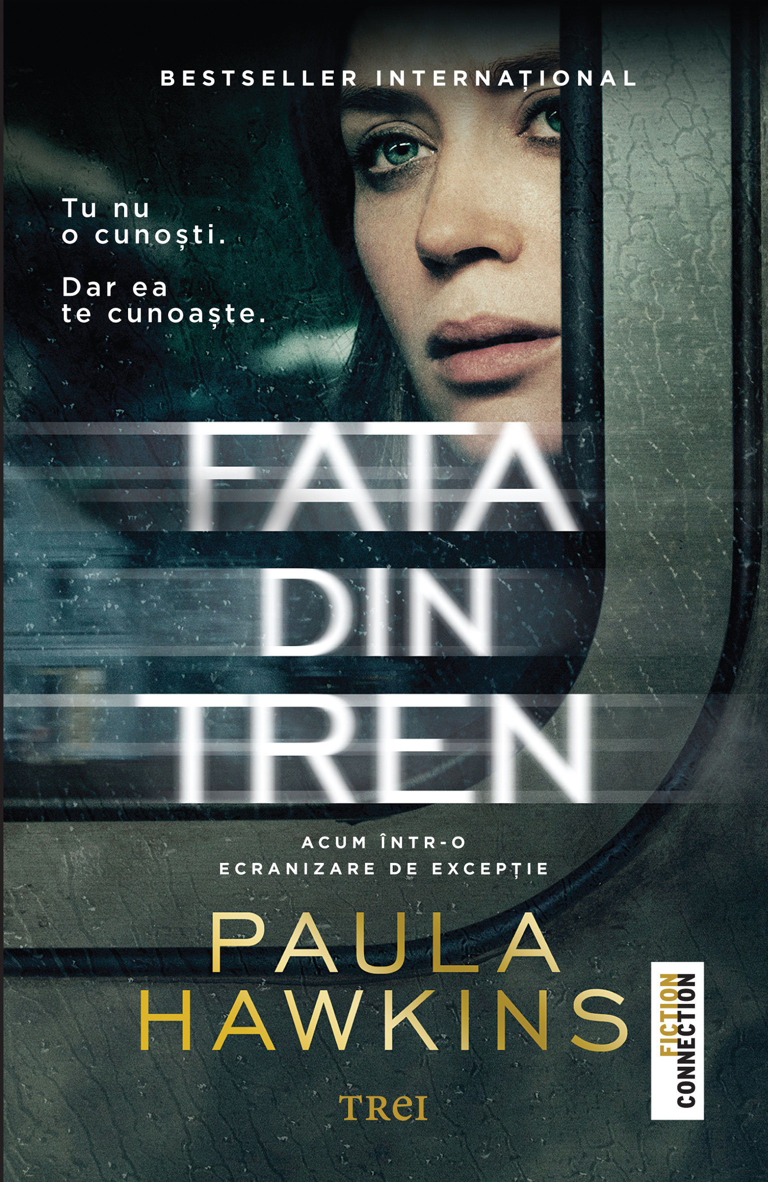 Fata Din Tren