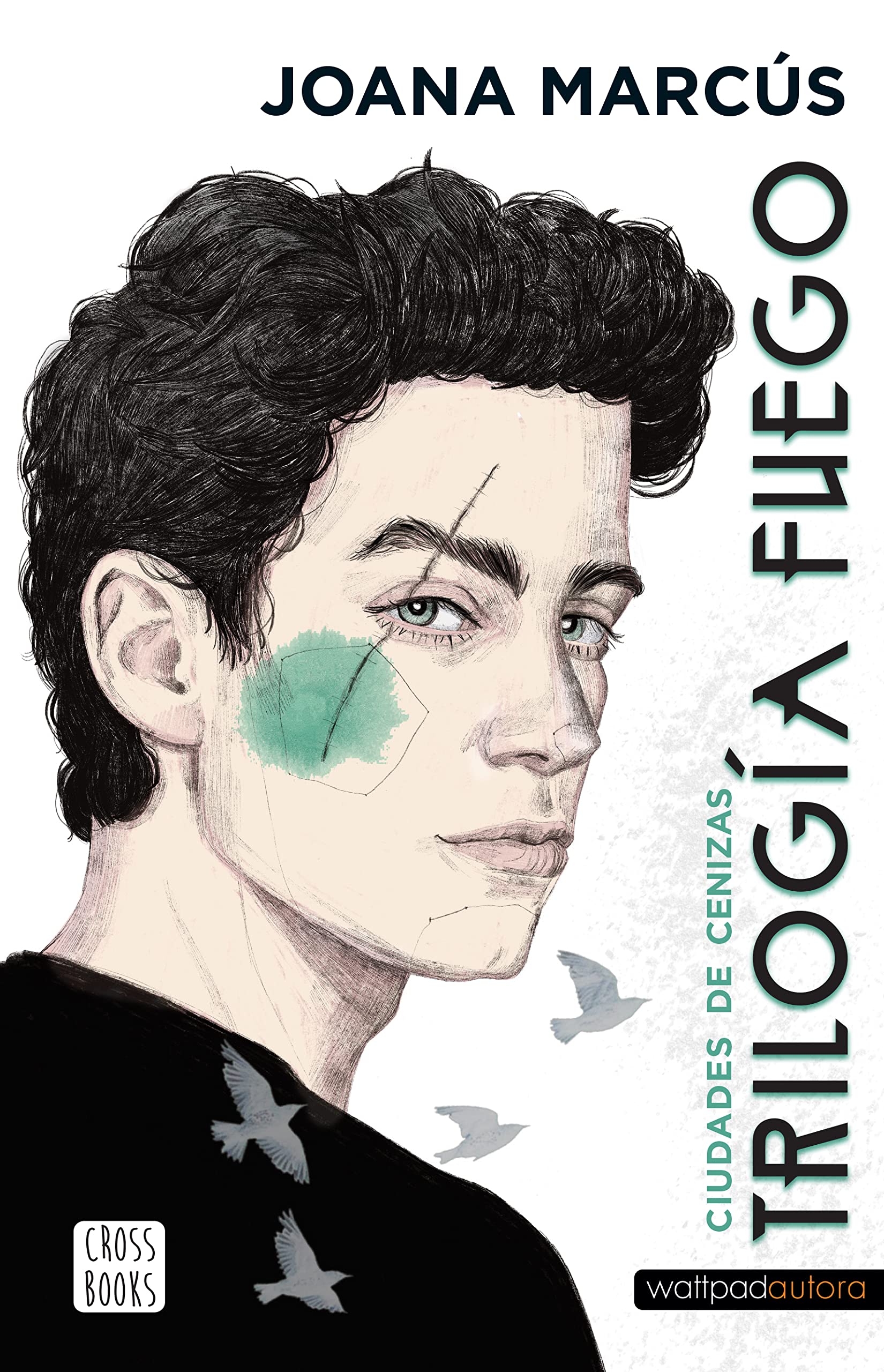 Trilogía Fuego 2. Ciudades de Cenizas