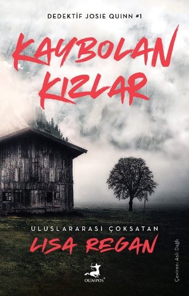 Kaybolan Kızlar: Dedektif Joise Quinn 1