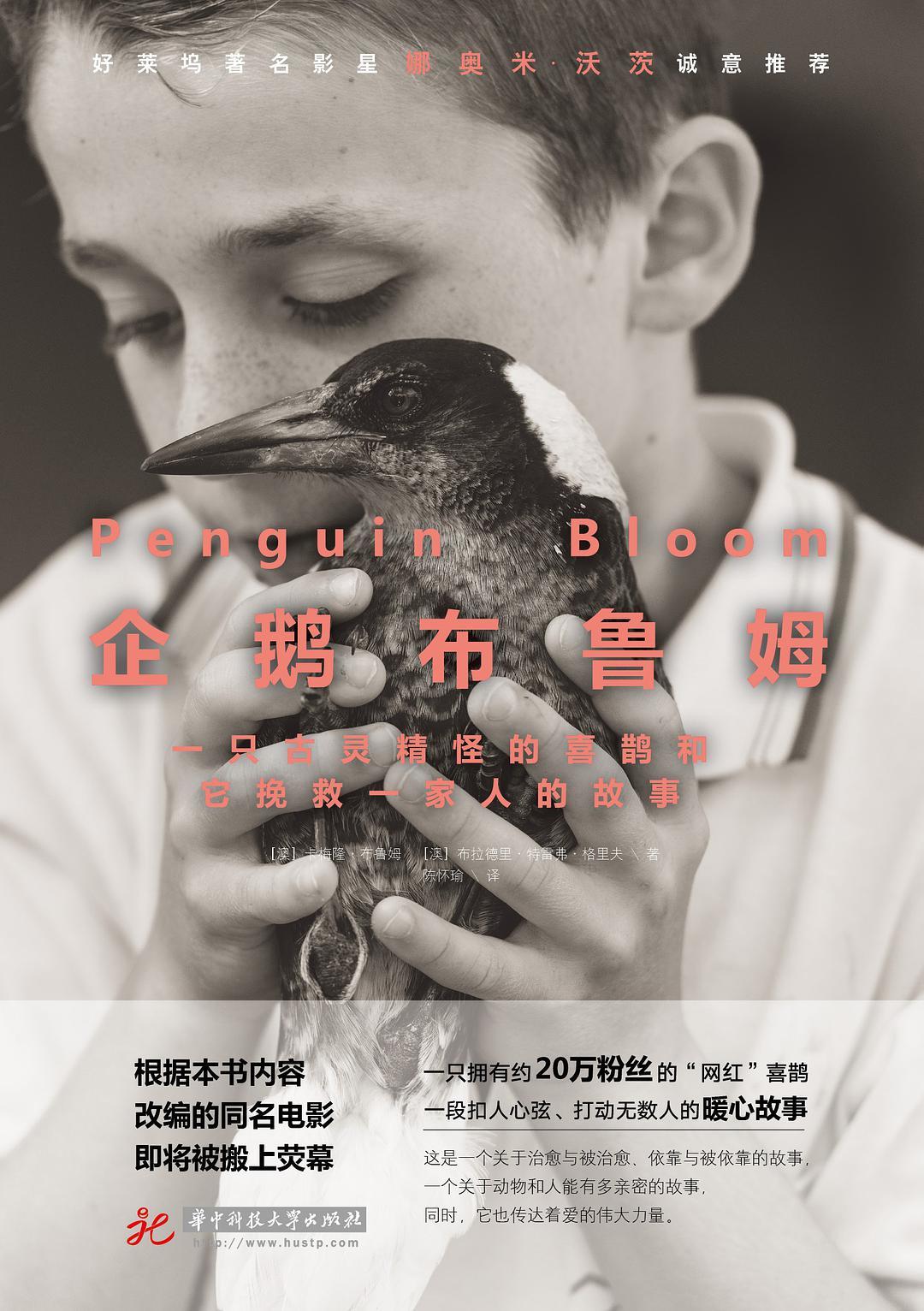 Penguin Bloom: The Odd Little Bird Who Saved a Family