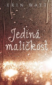 Jediná maličkost (2018)