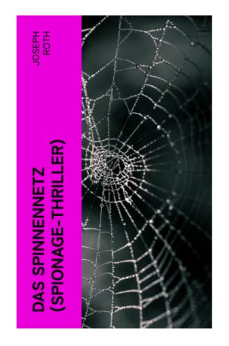 Das Spinnennetz (Spionage-Thriller)