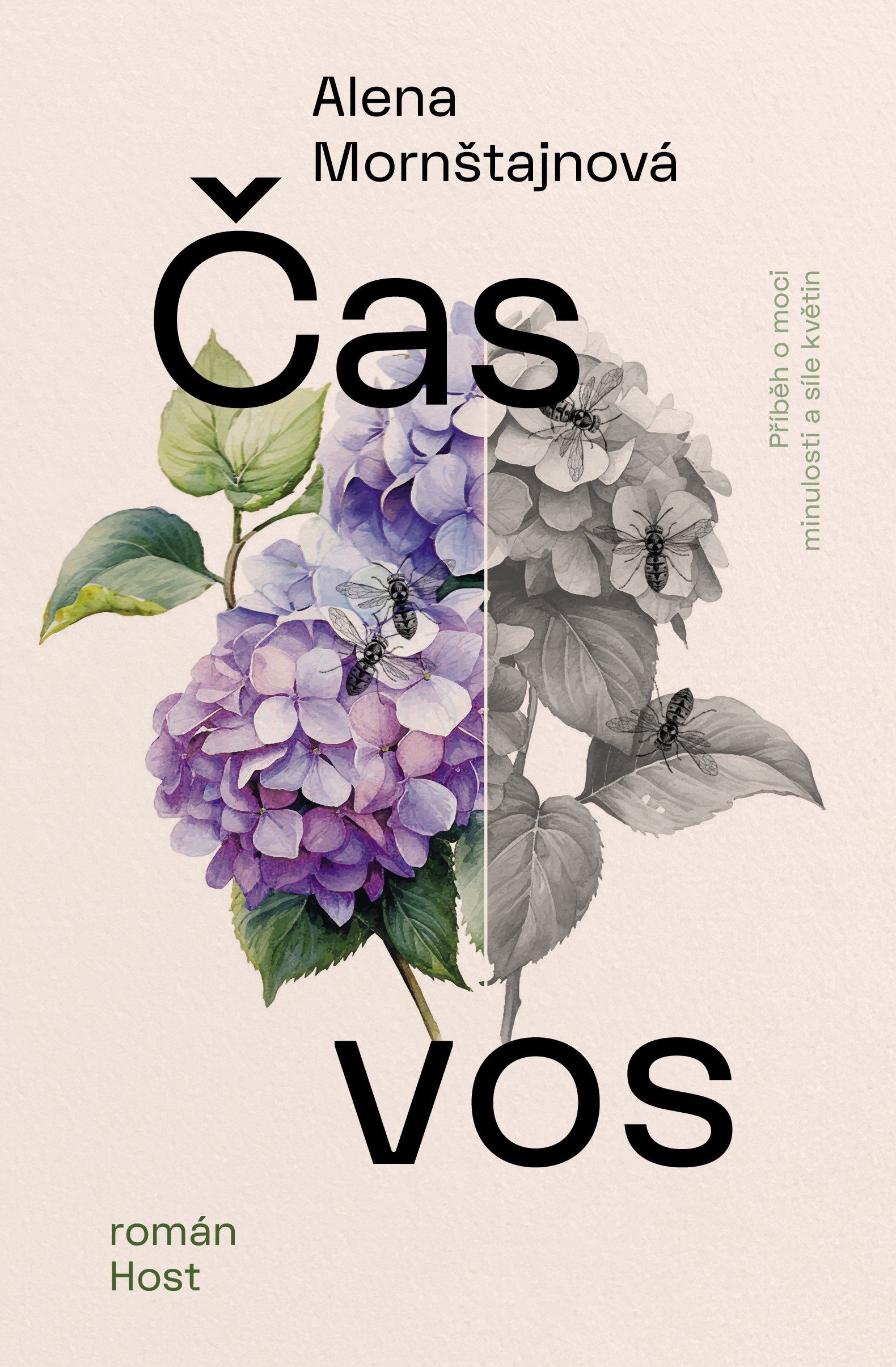 Čas vos (2025)