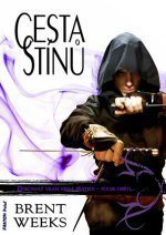 Cesta stínů: Dokonalý vrah nemá přátele, pouze oběti (2010)