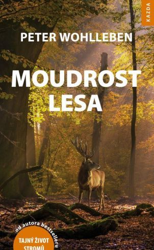 Moudrost lesa (2018)