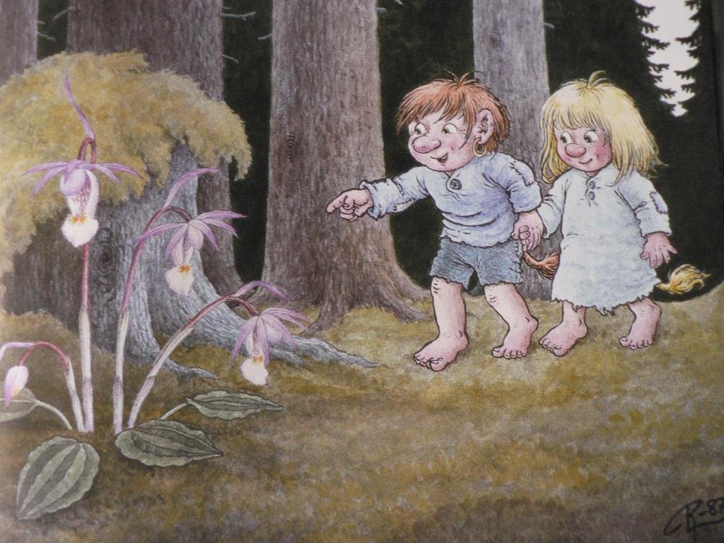 Die Trolle und Frauenschuh