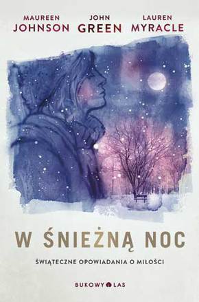 W sniezna noc