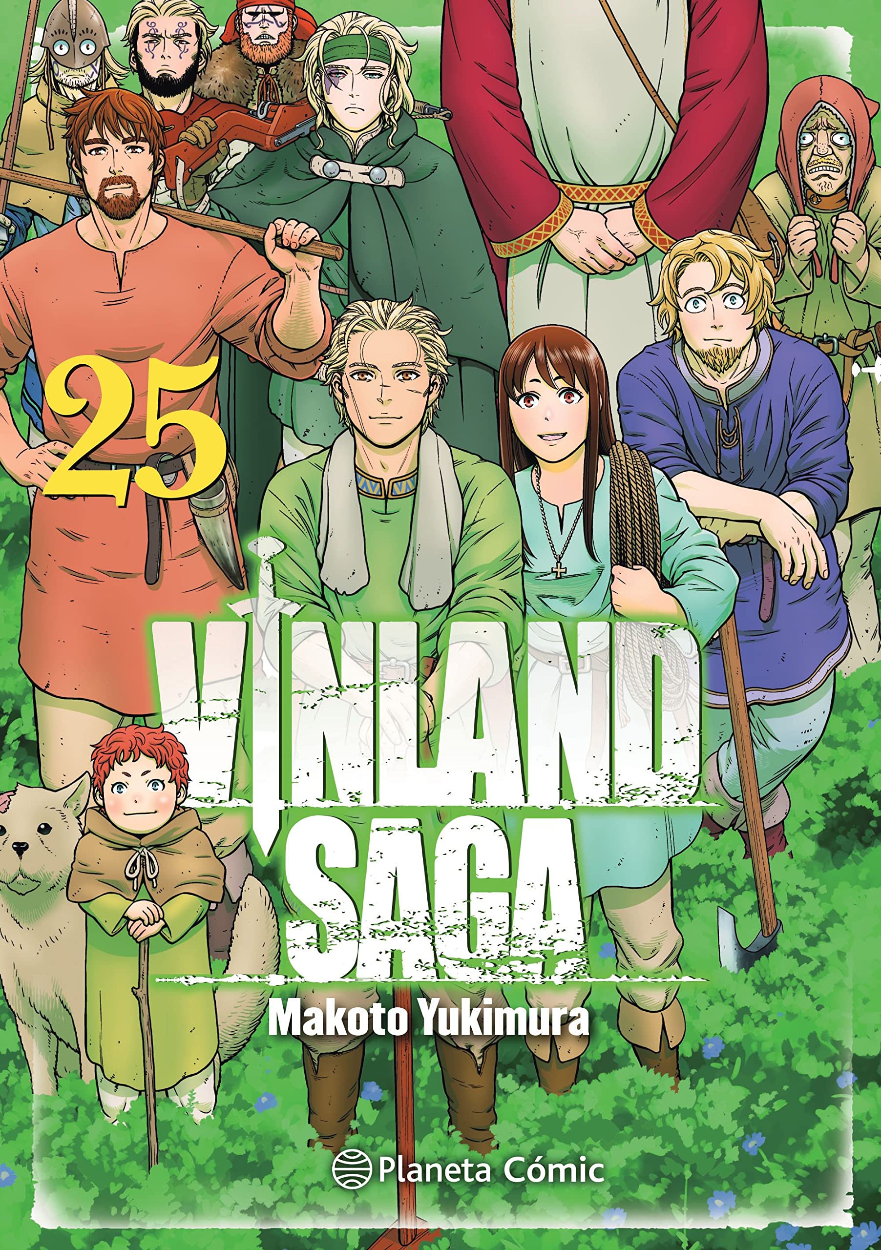 Vinland Saga nº 25 (Manga Seinen, Band 25)