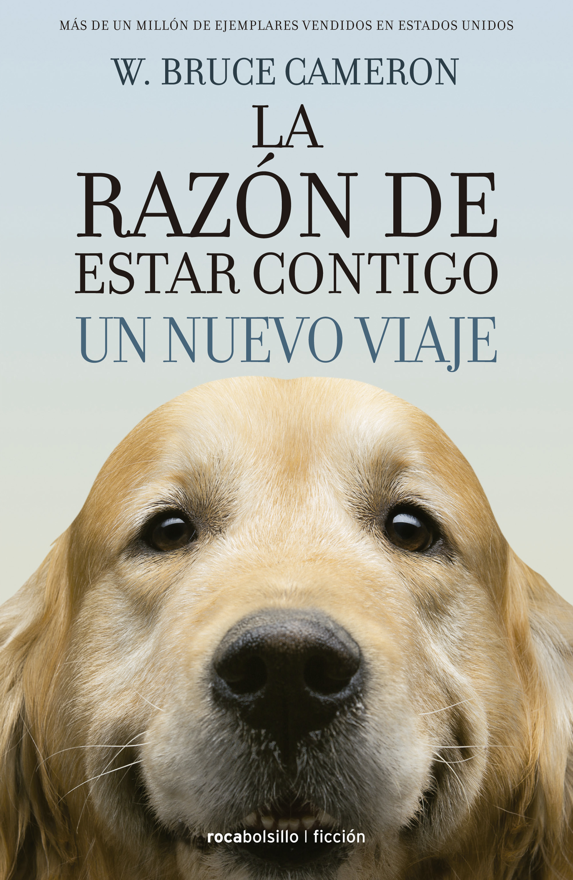 Tu Mejor Amigo. Un Nuevo Viaje (Best seller / Ficción): La razon de estar contigo / Every Dog Happens for a Reason