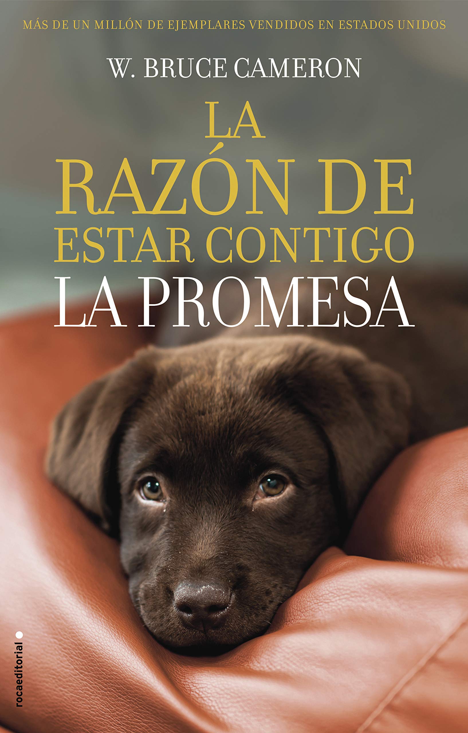 La Razon de Estar Contigo. La Promesa (Novela)