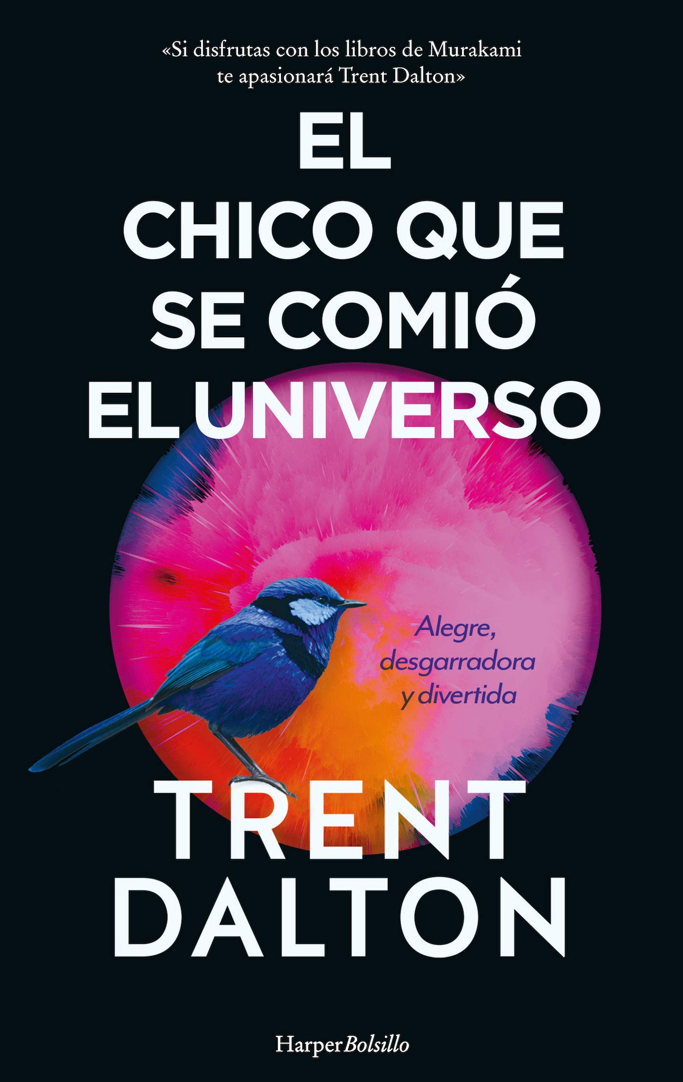 El chico que se comió el universo (HARPER BOLSILLO)