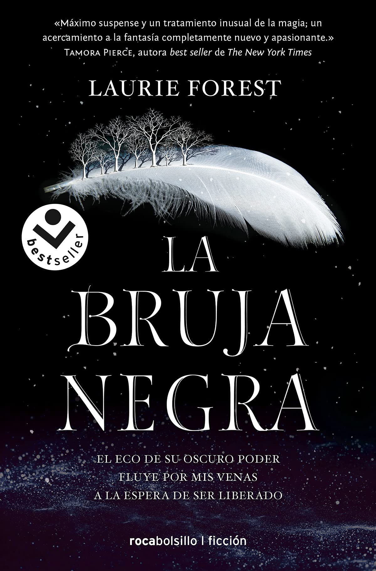 La bruja negra/ The Black Witch (LAS CRÓNICAS DE LA BRUJA NEGRA / THE BLACK WITCH CHRONICLES, Band 1)