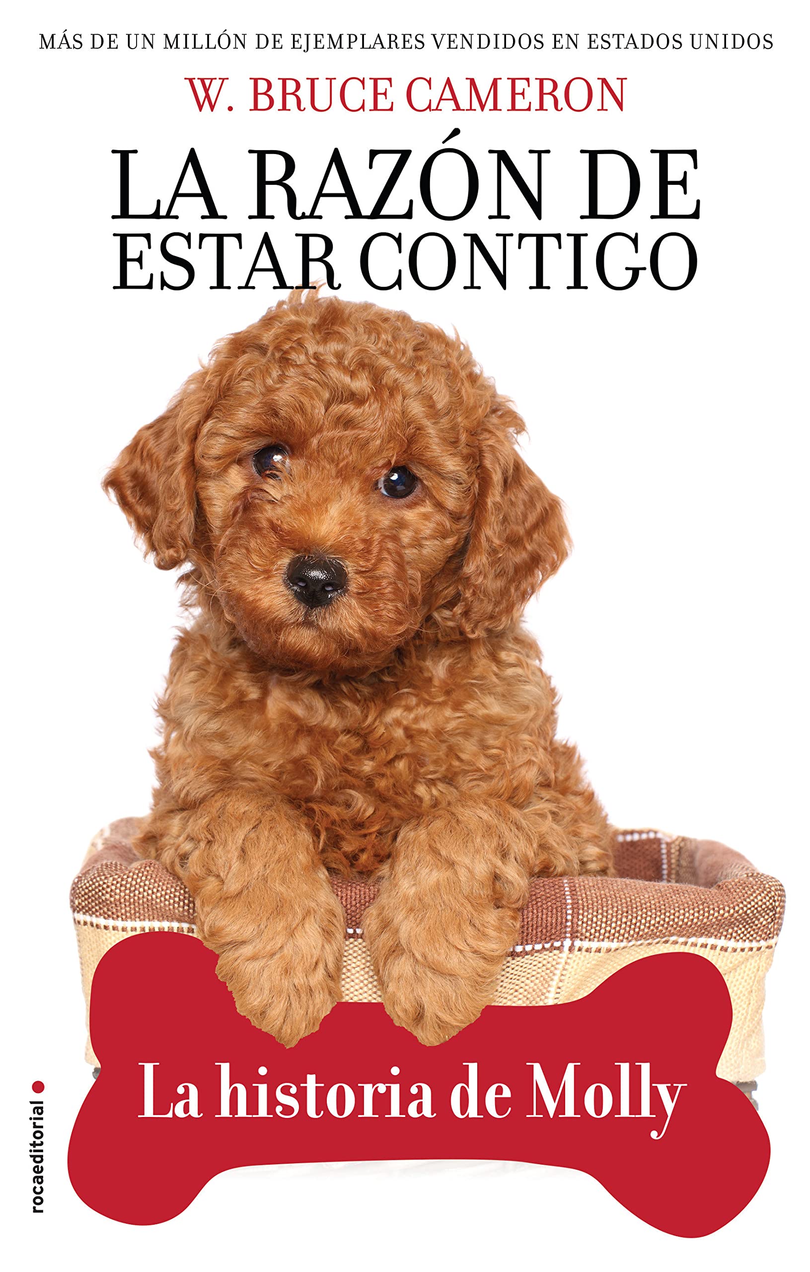 La razón de estar contigo. La historia de Molly: La Historia De Molly/ Molly's History (Novela)